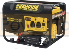 Бензиновий генератор Champion (USA) CPG4000E1-EU 3750 W з AVR(АРН). Фото 3